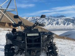 Сүрөт унаа Yamaha Grizzly