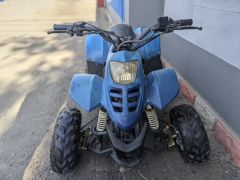 Photo of the vehicle CFMoto Leader
