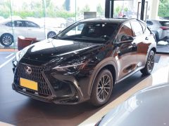 Сүрөт унаа Lexus NX