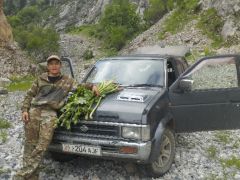 Фото авто Nissan Terrano