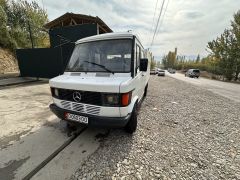 Фото авто Mercedes-Benz 100