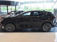 Сүрөт унаа Lexus NX