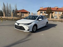 Фото авто Toyota Corolla