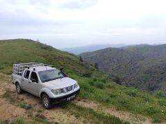 Photo of the vehicle Nissan Navara (Frontier)