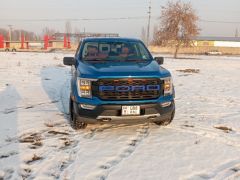 Фото авто Ford F-150