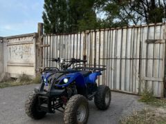 Сүрөт унаа Loncin ATV 125