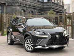 Сүрөт унаа Lexus NX