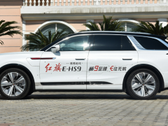 Photo of the vehicle Hongqi E-HS9