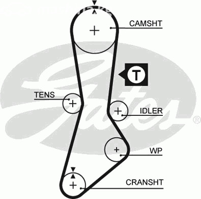 Запчасти и расходники - Ремень ГРМ Gates 5264XS
