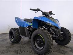 Photo of the vehicle CFMoto Cforce 110