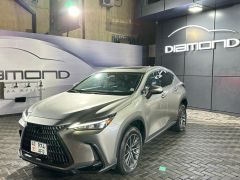 Сүрөт унаа Lexus NX