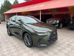 Сүрөт унаа Lexus NX