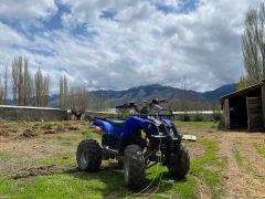 Фото авто Loncin ATV 125