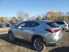 Сүрөт унаа Lexus NX