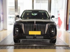 Фото авто Hongqi E-HS9