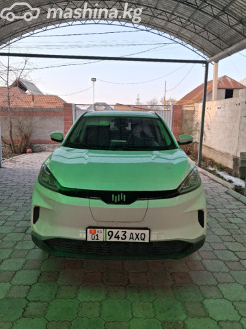 Weltmeister EX5