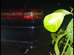 Photo of the vehicle Toyota Mark II