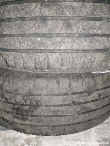 Дөңгөлөктөр - Tyre