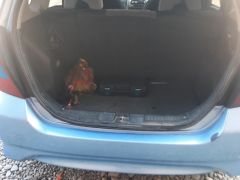 Photo of the vehicle Honda Fit