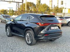 Сүрөт унаа Lexus NX