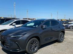 Фото авто Lexus NX