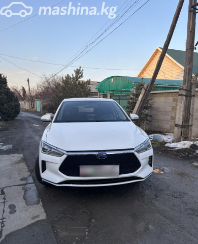 BYD E2
