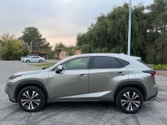 Сүрөт унаа Lexus NX