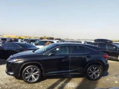 Сүрөт унаа Lexus RX