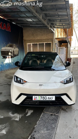 BYD Seagull