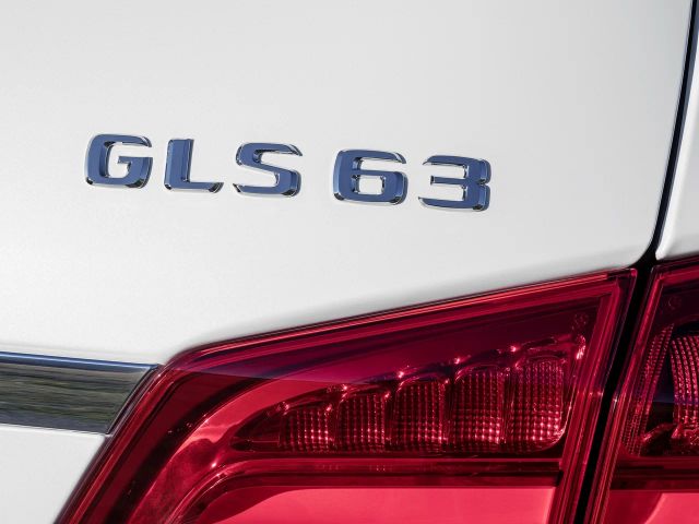 Фото Mercedes-Benz GLS AMG I (X166) #2