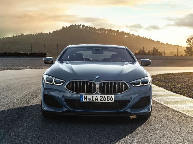 Фото BMW 8 Series II (G14/G15/G16) #4