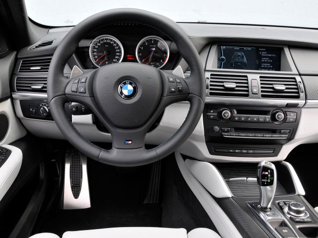 Фото BMW X6 M I (E71) #8
