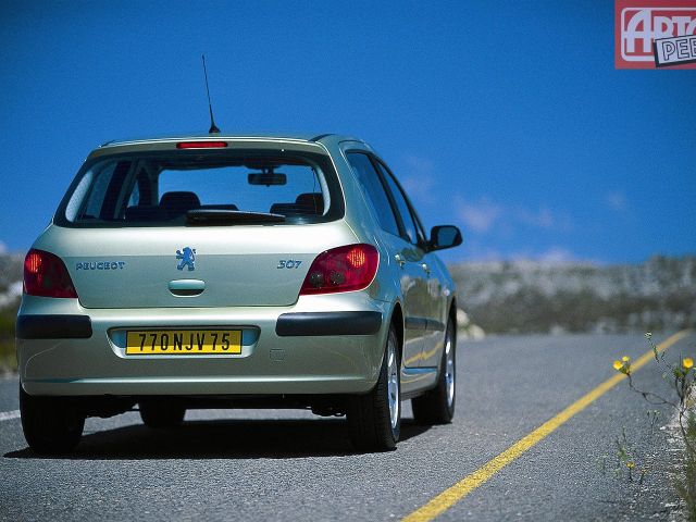 Фото Peugeot 307 I #5