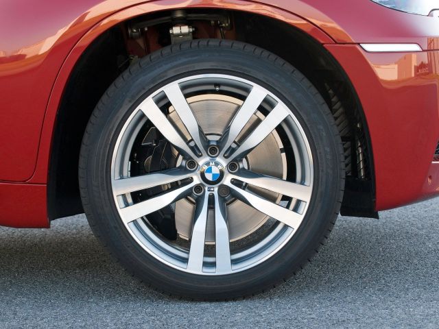 Фото BMW X6 M I (E71) #5