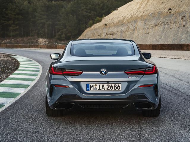 Фото BMW 8 Series II (G14/G15/G16) #7