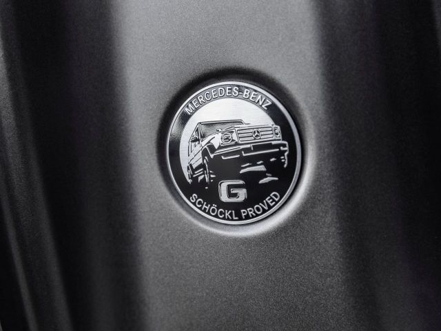 Фото Mercedes-Benz G-Класс III (W463) #9