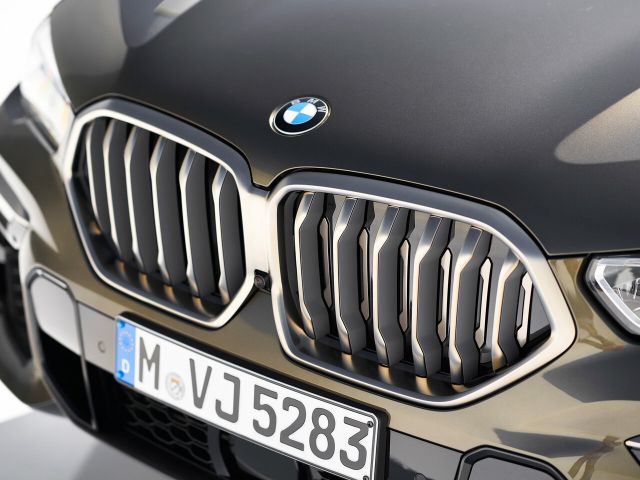 Фото BMW X6 III (G06) #11
