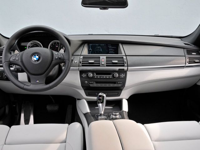 Фото BMW X6 M I (E71) #9