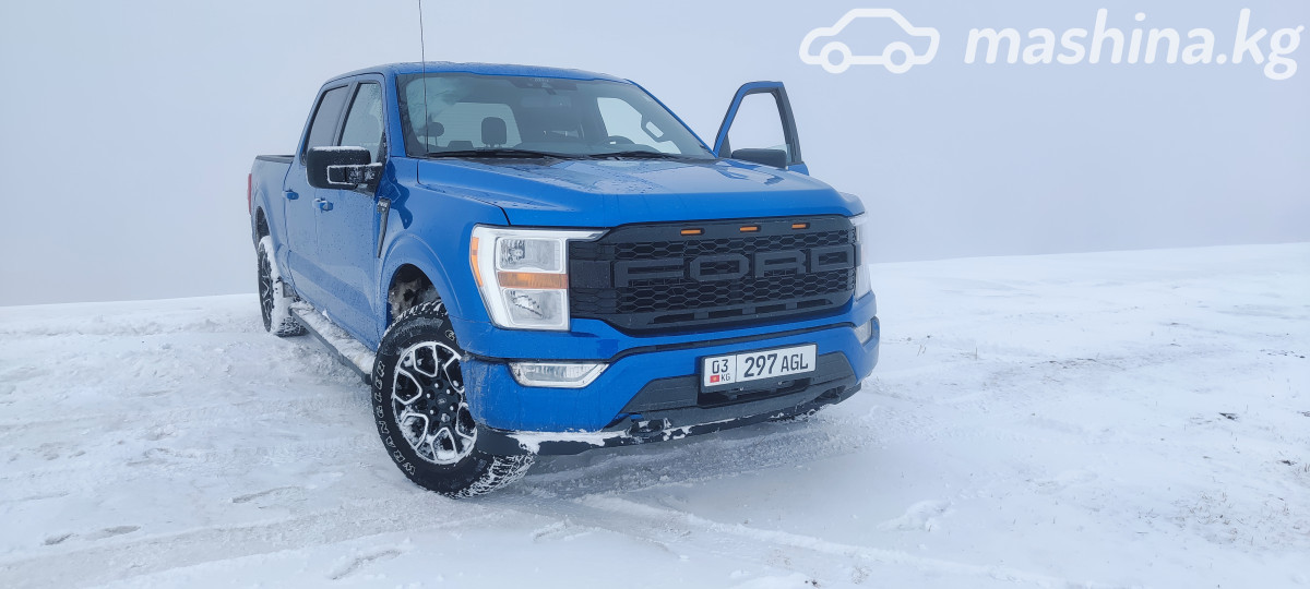 Ford F-150 XIV