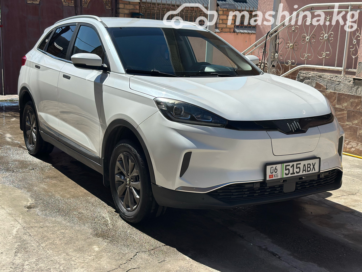 Weltmeister EX5 I