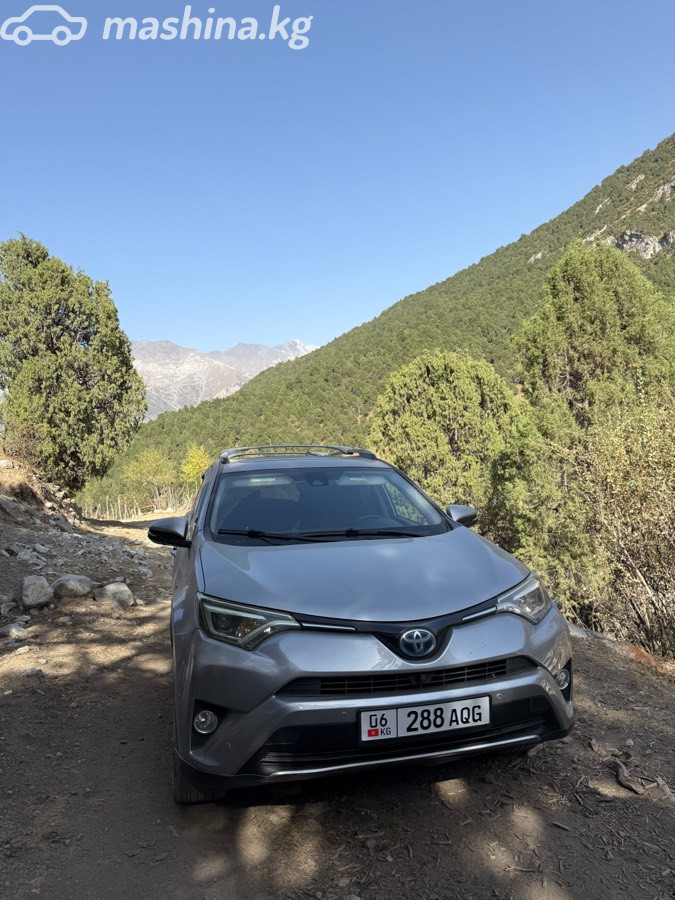 Toyota RAV4 IV (XA40) Рестайлинг