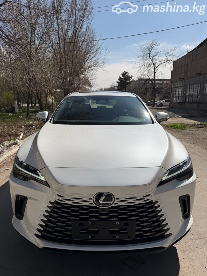 Lexus RX V