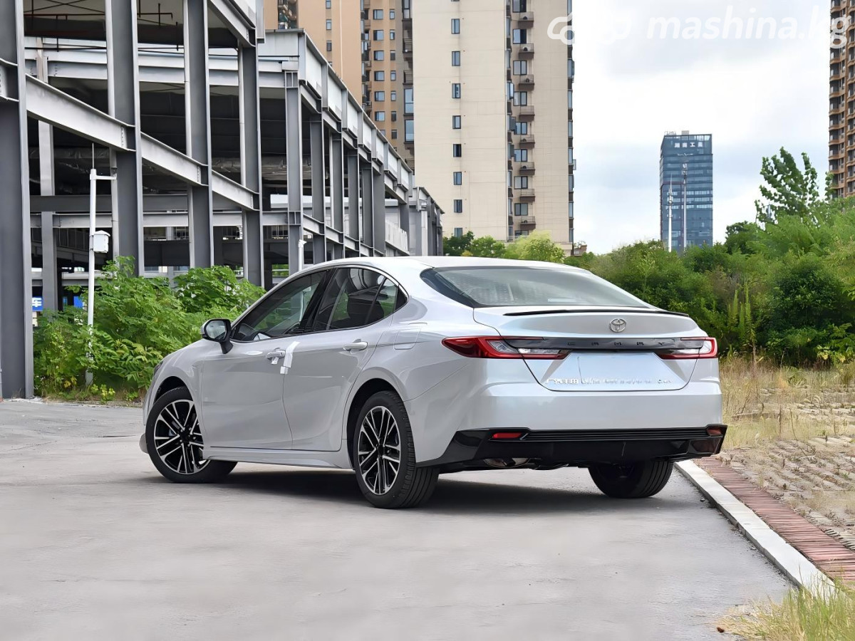 Toyota Camry IX (XV80) China Market