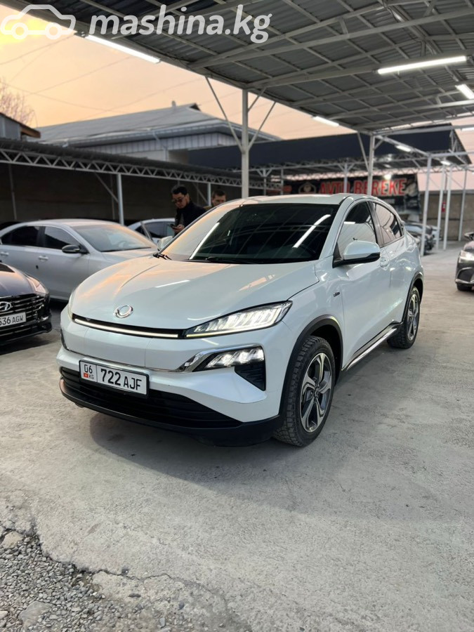 Honda M-NV I