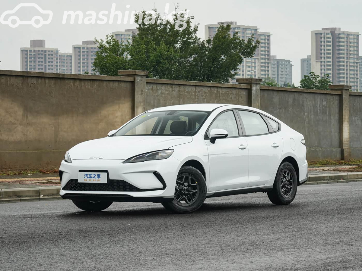BYD Destroyer 05
