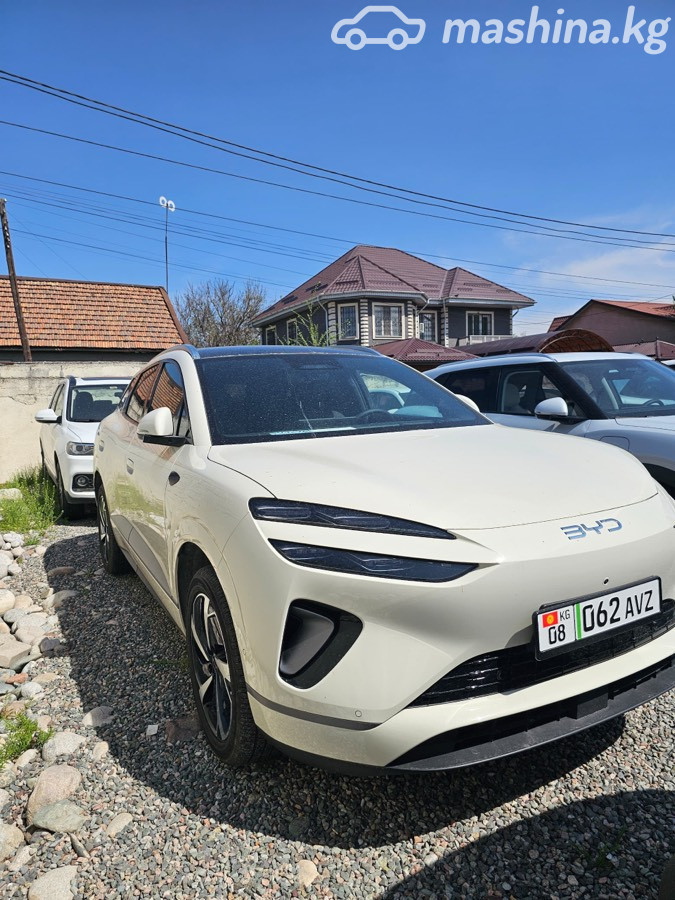 BYD Sea Lion 06