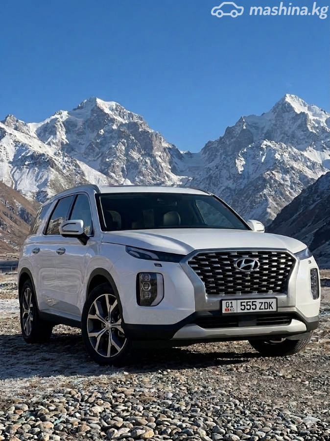 Hyundai Palisade I