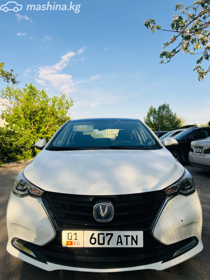 Changan Alsvin