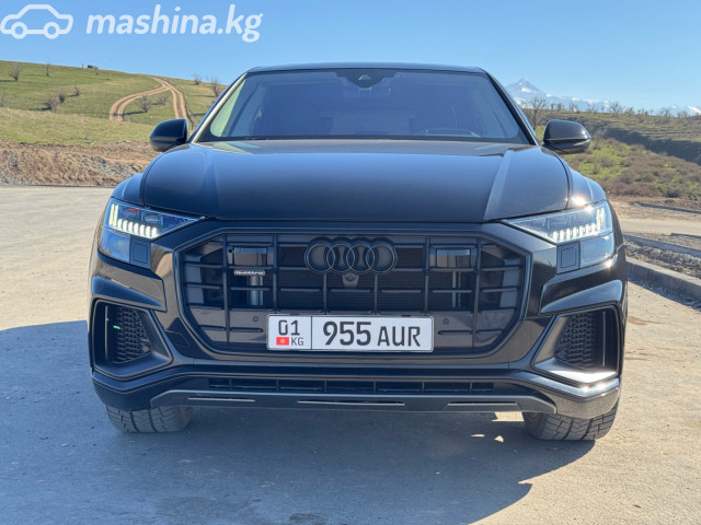 Audi Q8 I (4M) 55 TFSI 3.0 AT 4WD