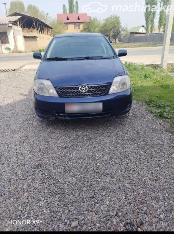 Toyota Corolla IX (E120, E130) Рестайлинг